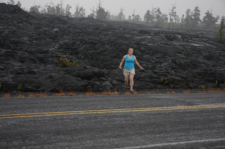 1453-Hawaii2008.jpg - Volcano National Park