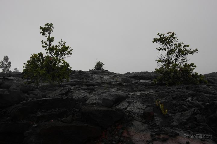 1458-Hawaii2008.jpg - Volcano National Park