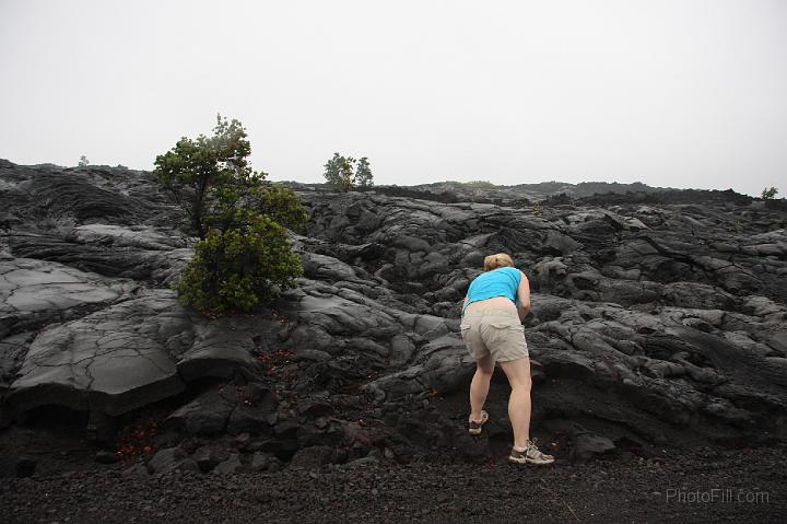 1462-Hawaii2008.jpg - Volcano National Park