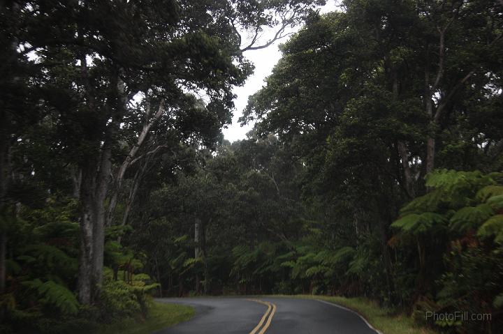 1464-Hawaii2008.jpg - Volcano National Park