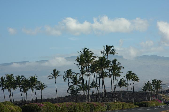 1477-Hawaii2008.jpg - Road to Keokea Beach