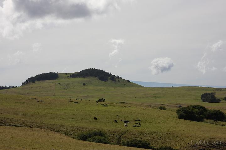 1508-Hawaii2008.jpg - Road from Keokoa Beach