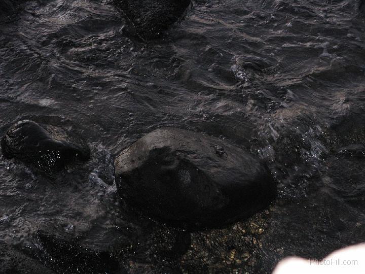 2001-Hawaii2008.jpg